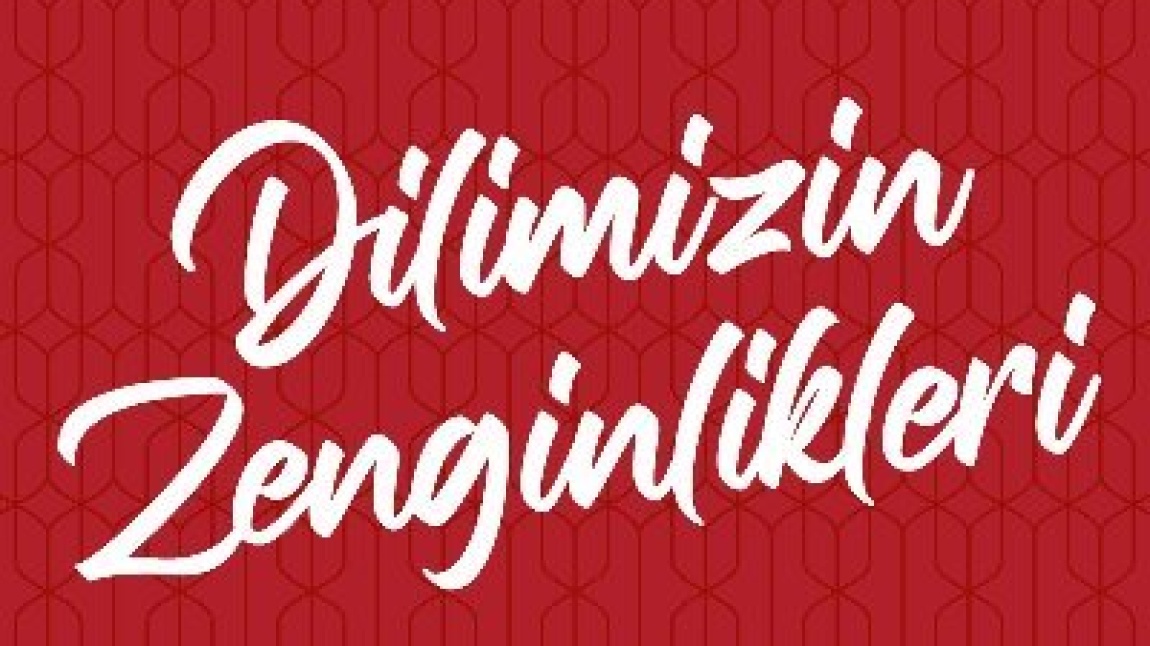 Dilimizin Zenginlikleri Projesi kapsamında okul panolarımızı süsledik